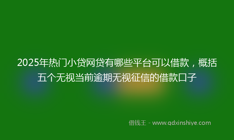 2025年热门小贷网贷有哪些平台可以借款，概括五个无视当前逾期无视征信的借款口子