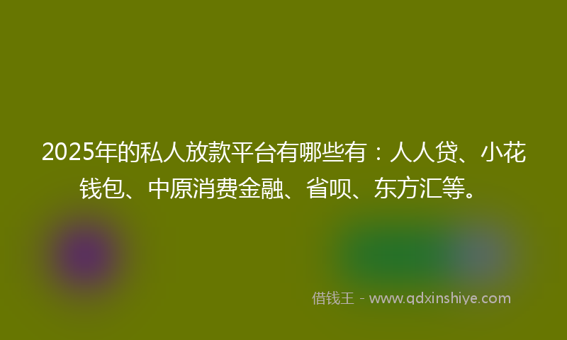 2025年的私人放款平台有哪些有：人人贷、小花钱包、中原消费金融、省呗、东方汇等。