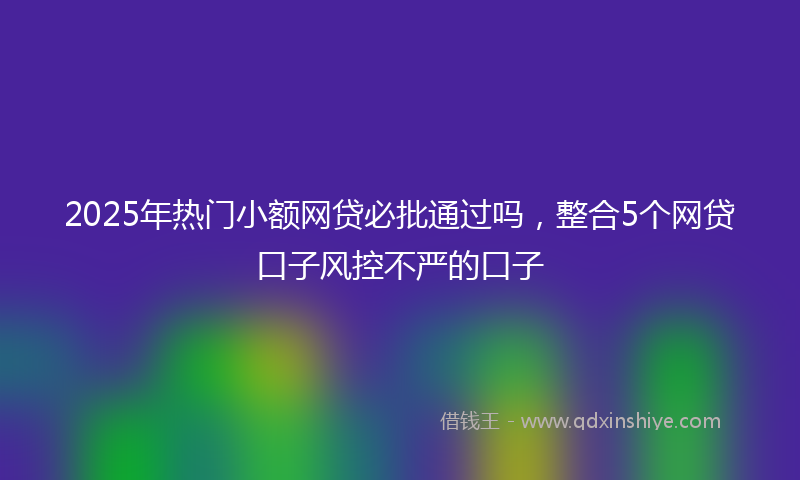 2025年热门小额网贷必批通过吗，整合5个网贷口子风控不严的口子
