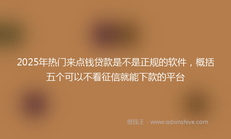 2025年热门来点钱贷款是不是正规的软件，概括五个可以不看征信就能下款的平台