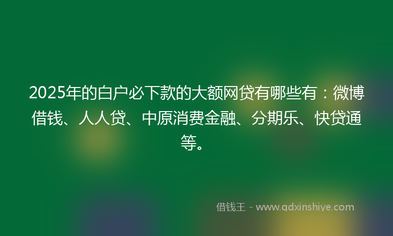 2025年的白户必下款的大额网贷有哪些有：微博借钱、人人贷、中原消费金融、分期乐、快贷通等。