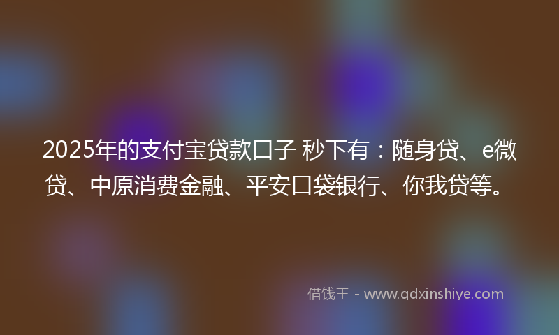 2025年的支付宝贷款口子 秒下有：随身贷、e微贷、中原消费金融、平安口袋银行、你我贷等。