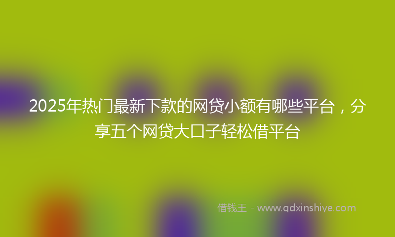 2025年热门最新下款的网贷小额有哪些平台，分享五个网贷大口子轻松借平台