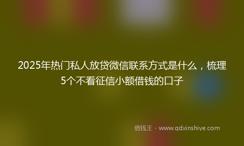 2025年热门私人放贷微信联系方式是什么，梳理5个不看征信小额借钱的口子