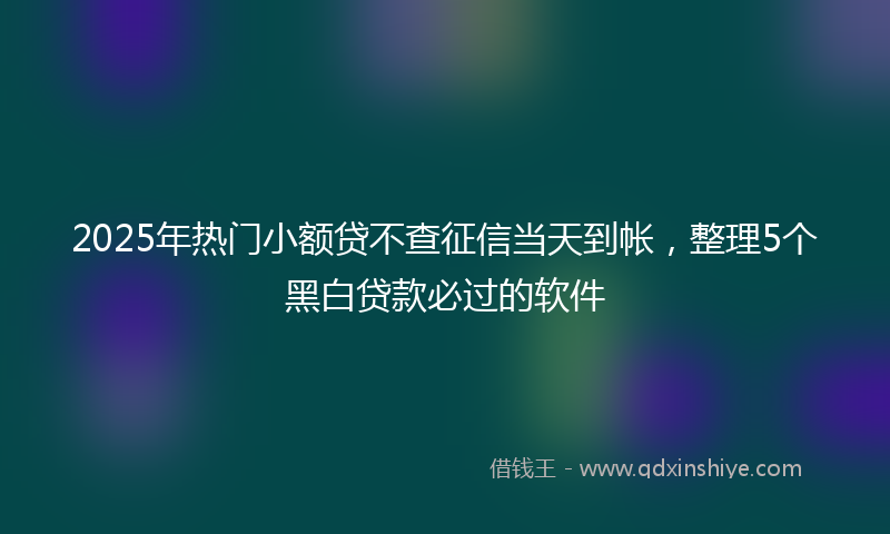 2025年热门小额贷不查征信当天到帐，整理5个黑白贷款必过的软件