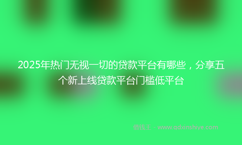 2025年热门无视一切的贷款平台有哪些，分享五个新上线贷款平台门槛低平台