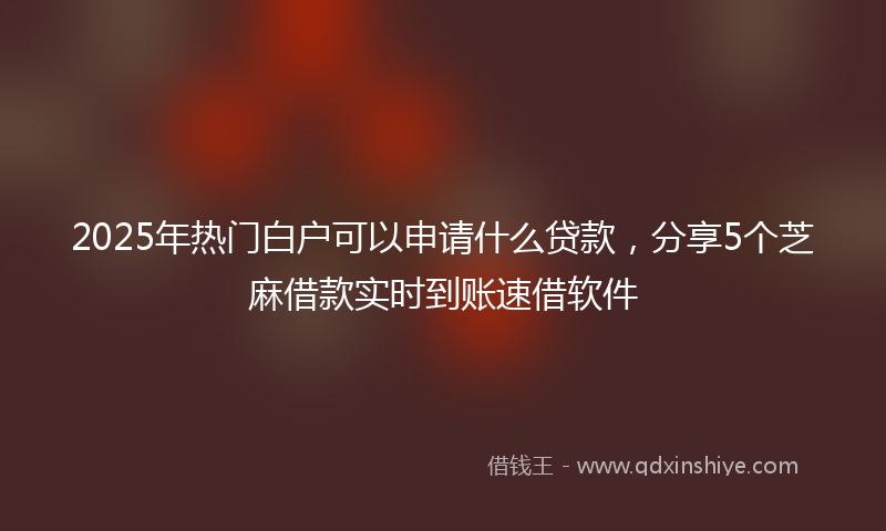 2025年热门白户可以申请什么贷款，分享5个芝麻借款实时到账速借软件