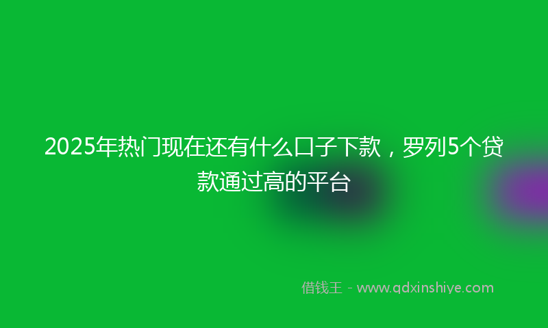 2025年热门现在还有什么口子下款，罗列5个贷款通过高的平台