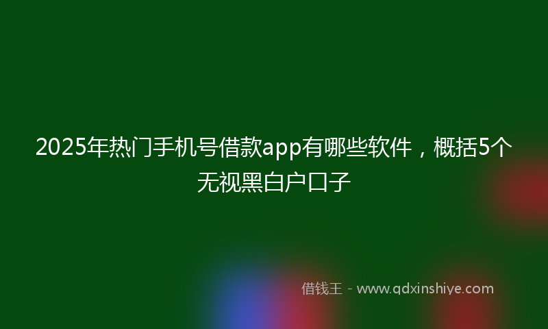 2025年热门手机号借款app有哪些软件，概括5个无视黑白户口子