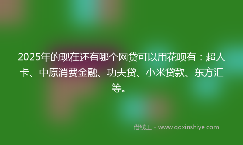 2025年的现在还有哪个网贷可以用花呗有：超人卡、中原消费金融、功夫贷、小米贷款、东方汇等。