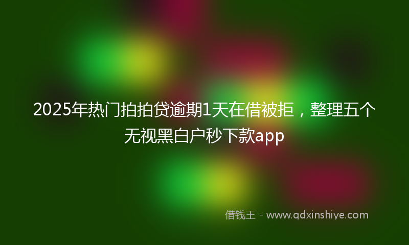 2025年热门拍拍贷逾期1天在借被拒，整理五个无视黑白户秒下款app