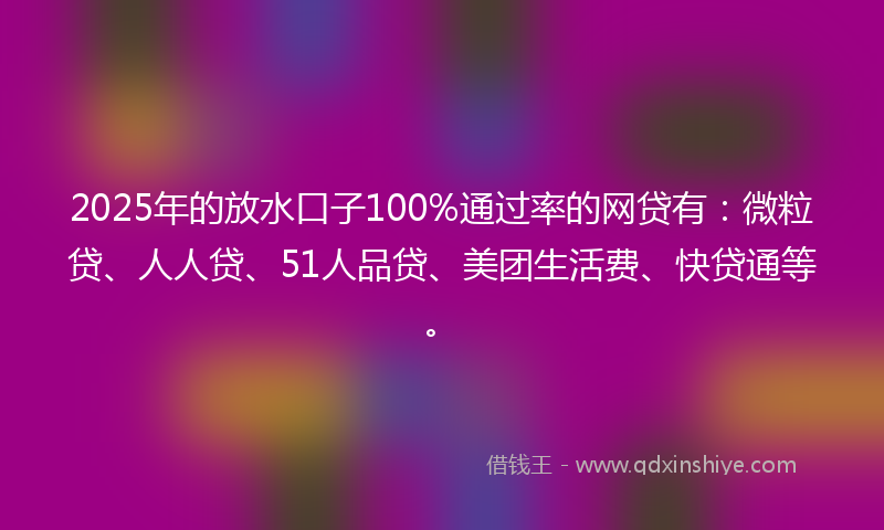 2025年的放水口子100%通过率的网贷有：微粒贷、人人贷、51人品贷、美团生活费、快贷通等。