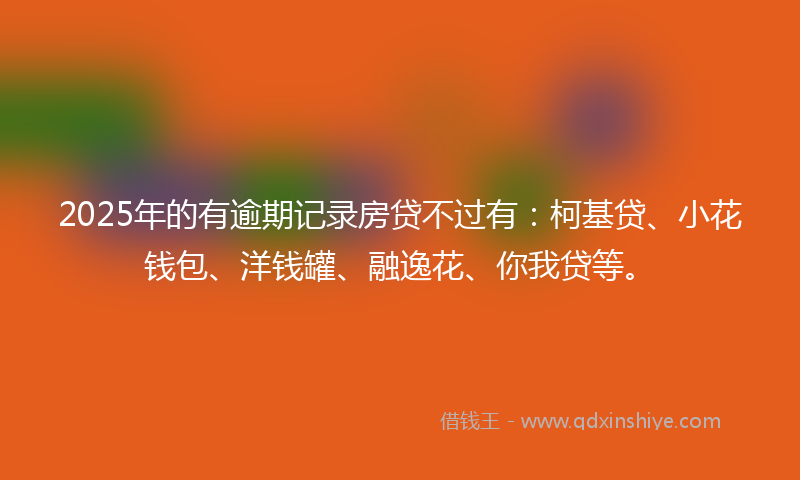 2025年的有逾期记录房贷不过有：柯基贷、小花钱包、洋钱罐、融逸花、你我贷等。