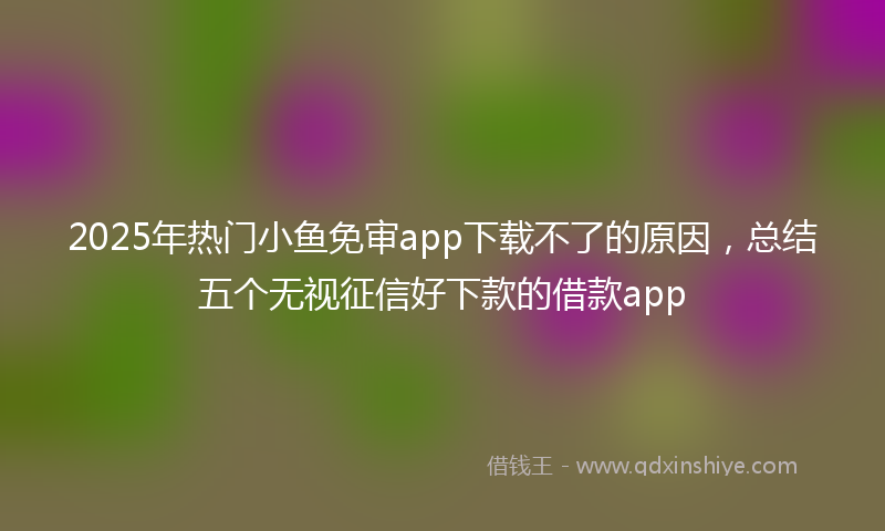 2025年热门小鱼免审app下载不了的原因，总结五个无视征信好下款的借款app