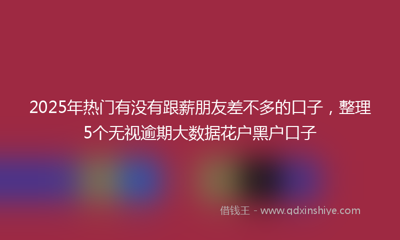 2025年热门有没有跟薪朋友差不多的口子，整理5个无视逾期大数据花户黑户口子