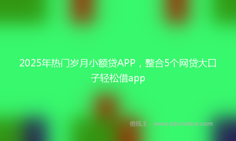 2025年热门岁月小额贷APP，整合5个网贷大口子轻松借app