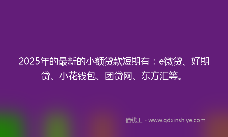 2025年的最新的小额贷款短期有：e微贷、好期贷、小花钱包、团贷网、东方汇等。