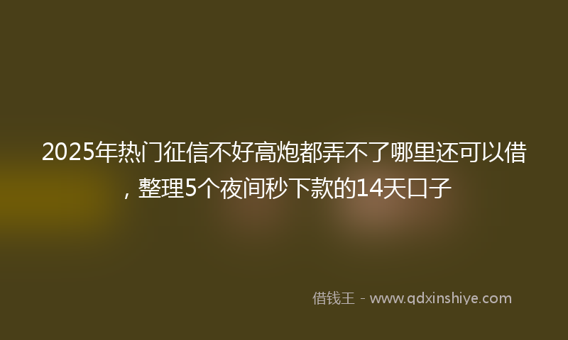 2025年热门征信不好高炮都弄不了哪里还可以借，整理5个夜间秒下款的14天口子