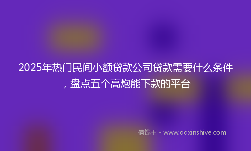 2025年热门民间小额贷款公司贷款需要什么条件，盘点五个高炮能下款的平台