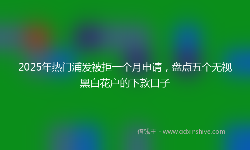 2025年热门浦发被拒一个月申请，盘点五个无视黑白花户的下款口子