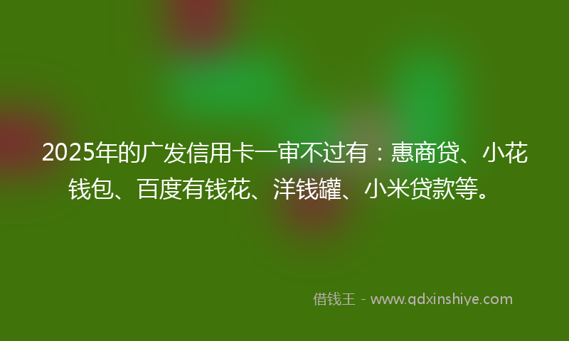 2025年的广发信用卡一审不过有：惠商贷、小花钱包、百度有钱花、洋钱罐、小米贷款等。