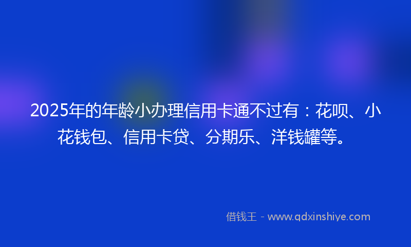2025年的年龄小办理信用卡通不过有：花呗、小花钱包、信用卡贷、分期乐、洋钱罐等。