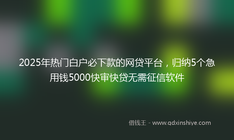 2025年热门白户必下款的网贷平台，归纳5个急用钱5000快审快贷无需征信软件