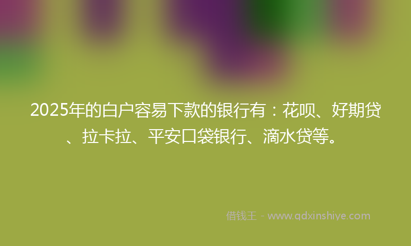 2025年的白户容易下款的银行有：花呗、好期贷、拉卡拉、平安口袋银行、滴水贷等。