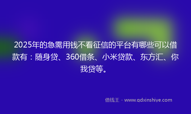2025年的急需用钱不看征信的平台有哪些可以借款有：随身贷、360借条、小米贷款、东方汇、你我贷等。