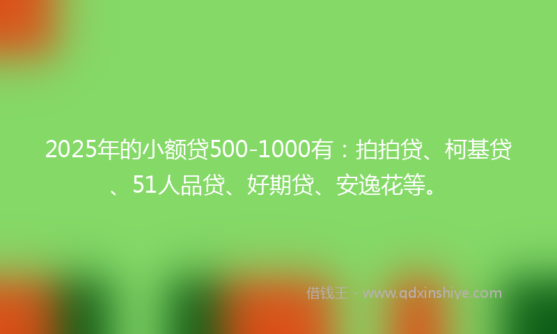 2025年的小额贷500-1000有：拍拍贷、柯基贷、51人品贷、好期贷、安逸花等。