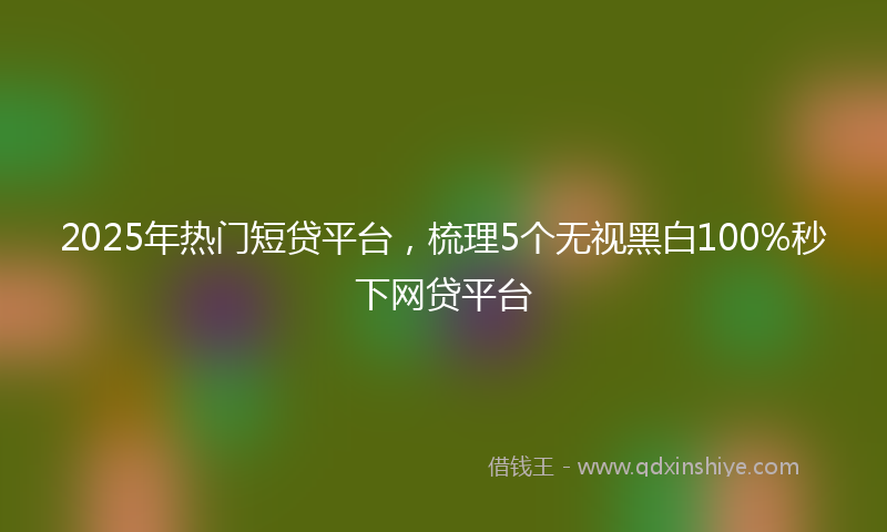 2025年热门短贷平台，梳理5个无视黑白100%秒下网贷平台