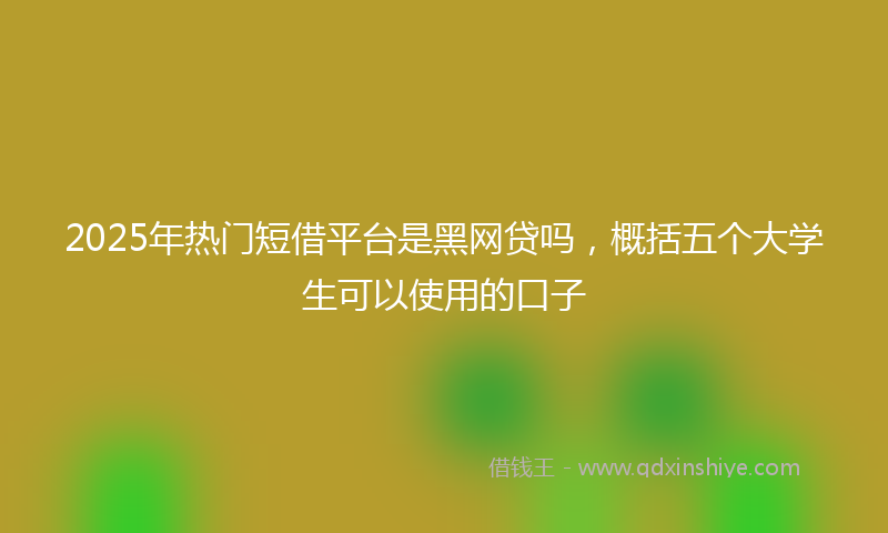 2025年热门短借平台是黑网贷吗，概括五个大学生可以使用的口子