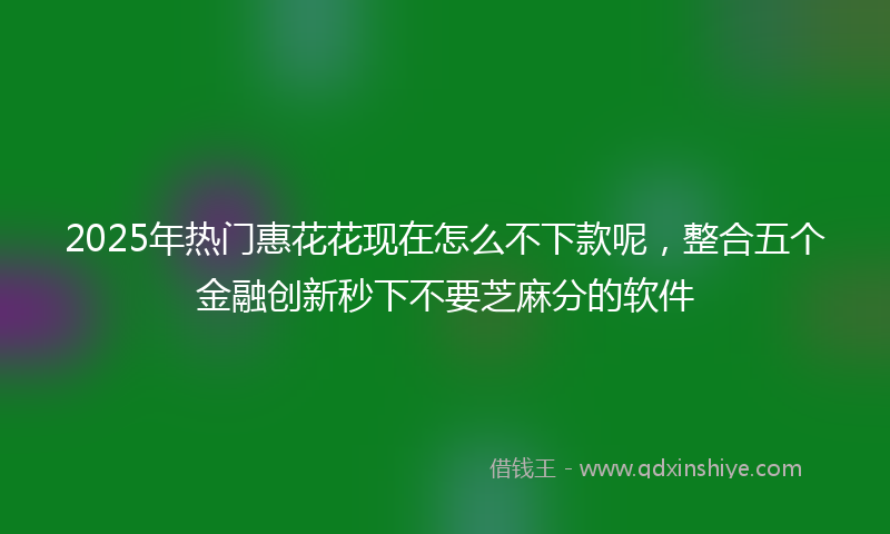 2025年热门惠花花现在怎么不下款呢,整合五个金融创新秒下不要芝麻分的软件
