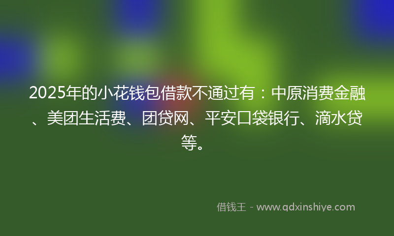 2025年的小花钱包借款不通过有：中原消费金融、美团生活费、团贷网、平安口袋银行、滴水贷等。