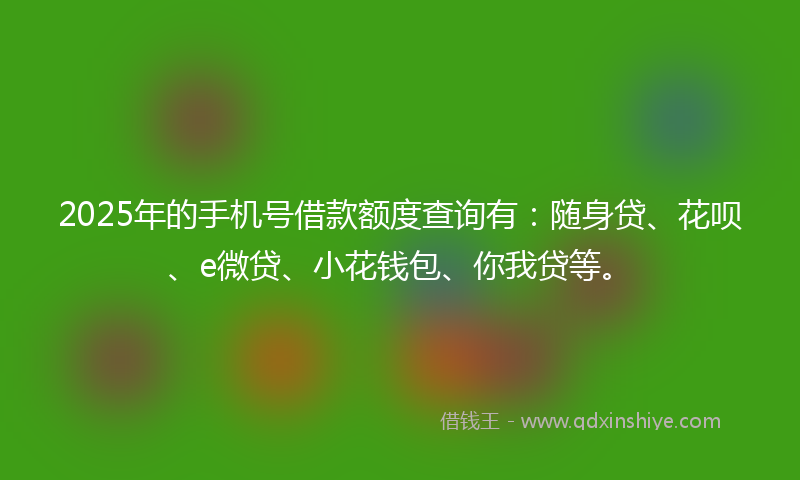 2025年的手机号借款额度查询有：随身贷、花呗、e微贷、小花钱包、你我贷等。