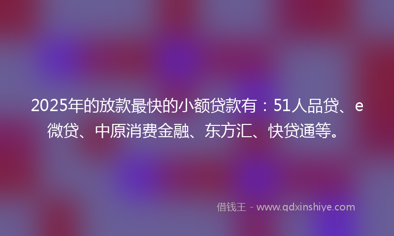 2025年的放款最快的小额贷款有：51人品贷、e微贷、中原消费金融、东方汇、快贷通等。