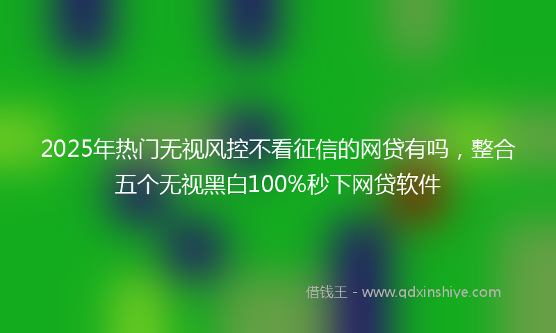 2025年热门无视风控不看征信的网贷有吗，整合五个无视黑白100%秒下网贷软件