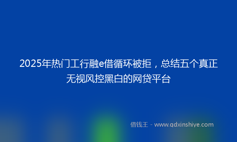 2025年热门工行融e借循环被拒，总结五个真正无视风控黑白的网贷平台