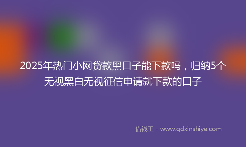 2025年热门小网贷款黑口子能下款吗，归纳5个无视黑白无视征信申请就下款的口子