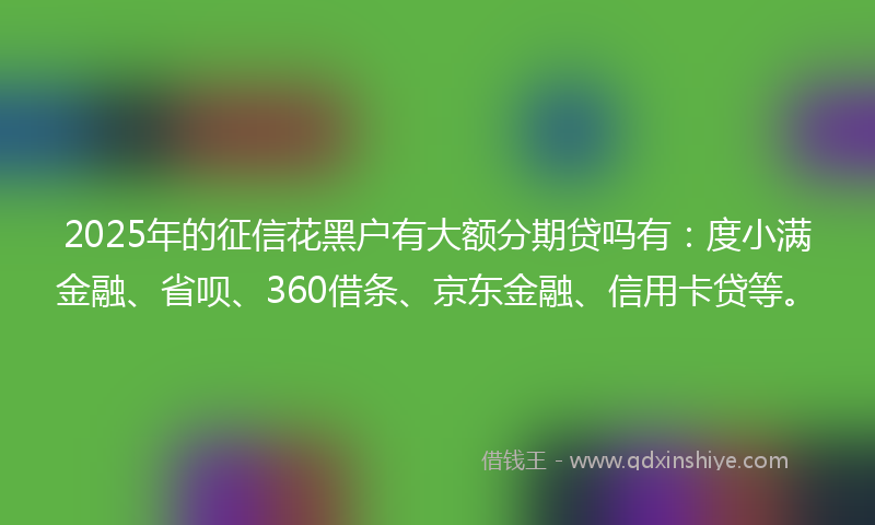 2025年的征信花黑户有大额分期贷吗有：度小满金融、省呗、360借条、京东金融、信用卡贷等。