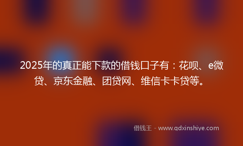 2025年的真正能下款的借钱口子有：花呗、e微贷、京东金融、团贷网、维信卡卡贷等。