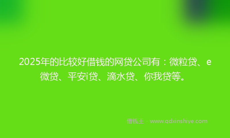 2025年的比较好借钱的网贷公司有：微粒贷、e微贷、平安i贷、滴水贷、你我贷等。