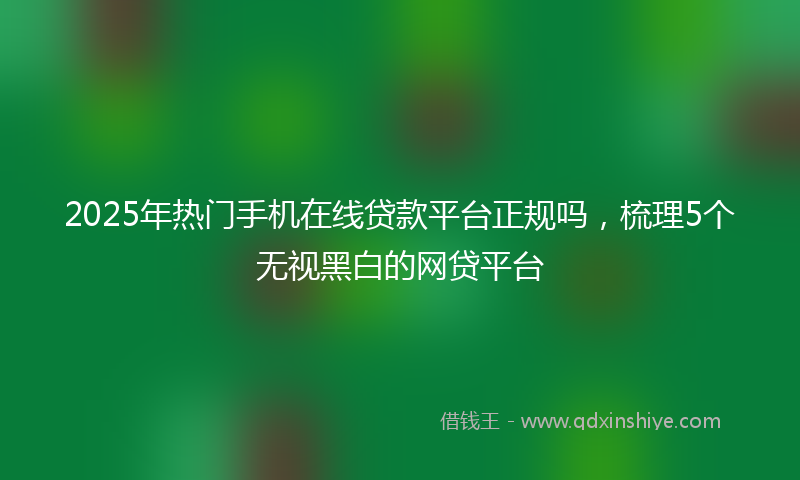 2025年热门手机在线贷款平台正规吗，梳理5个无视黑白的网贷平台