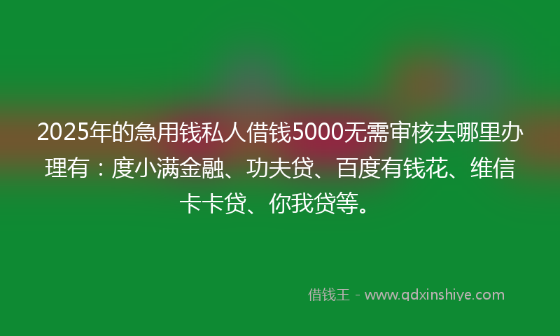 2025年的急用钱私人借钱5000无需审核去哪里办理有：度小满金融、功夫贷、百度有钱花、维信卡卡贷、你我贷等。