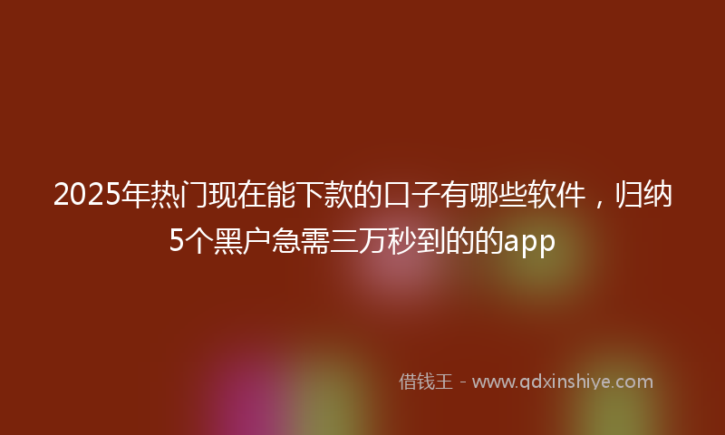 2025年热门现在能下款的口子有哪些软件，归纳5个黑户急需三万秒到的的app