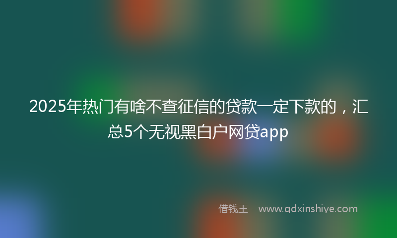 2025年热门有啥不查征信的贷款一定下款的，汇总5个无视黑白户网贷app