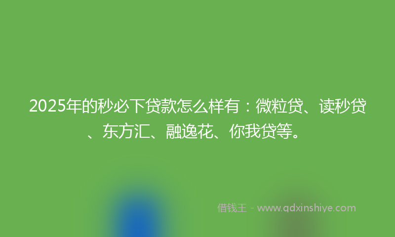 2025年的秒必下贷款怎么样有：微粒贷、读秒贷、东方汇、融逸花、你我贷等。