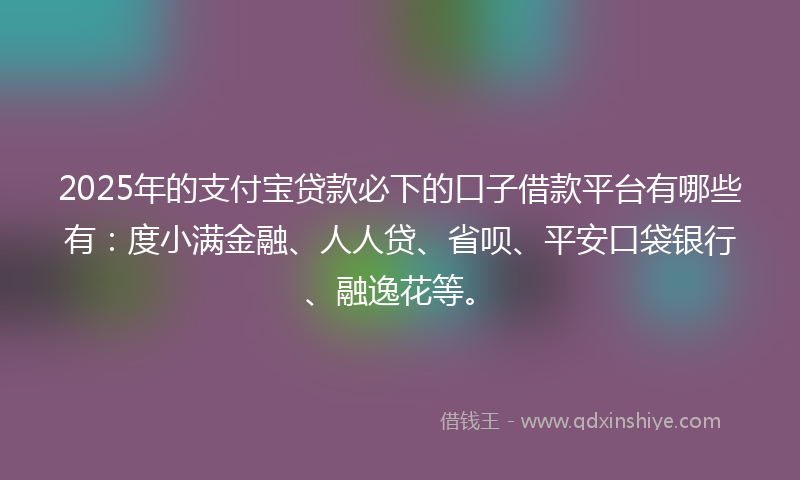 2025年的支付宝贷款必下的口子借款平台有哪些有：度小满金融、人人贷、省呗、平安口袋银行、融逸花等。