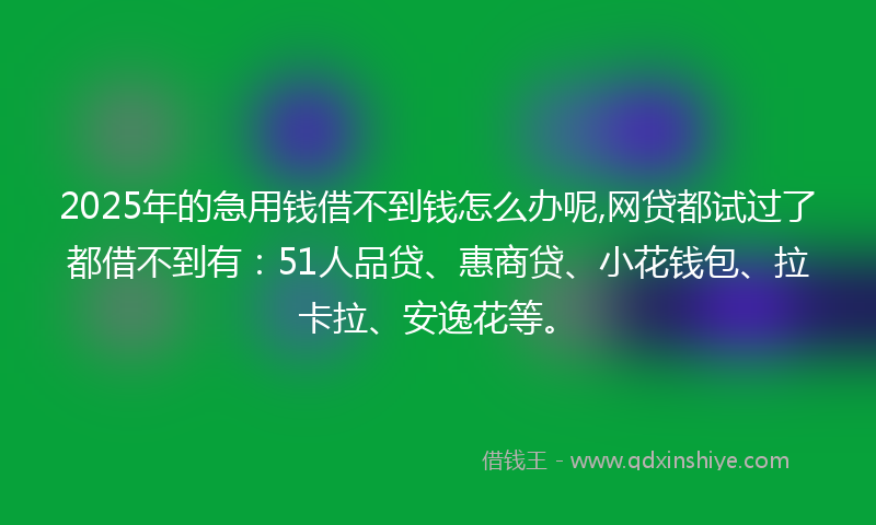 2025年的急用钱借不到钱怎么办呢,网贷都试过了都借不到有：51人品贷、惠商贷、小花钱包、拉卡拉、安逸花等。