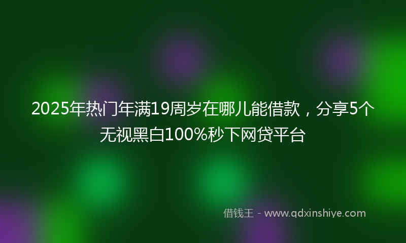 2025年热门年满19周岁在哪儿能借款，分享5个无视黑白100%秒下网贷平台